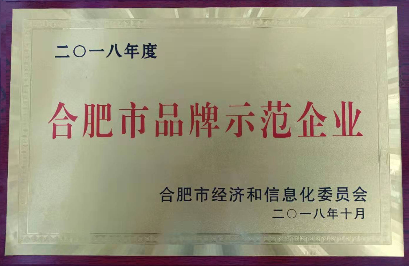 合肥市品牌示范企業